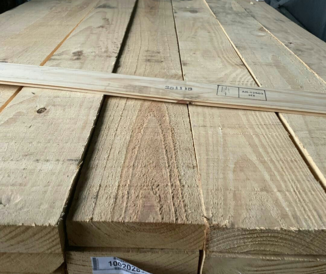 南岸阿根廷松木